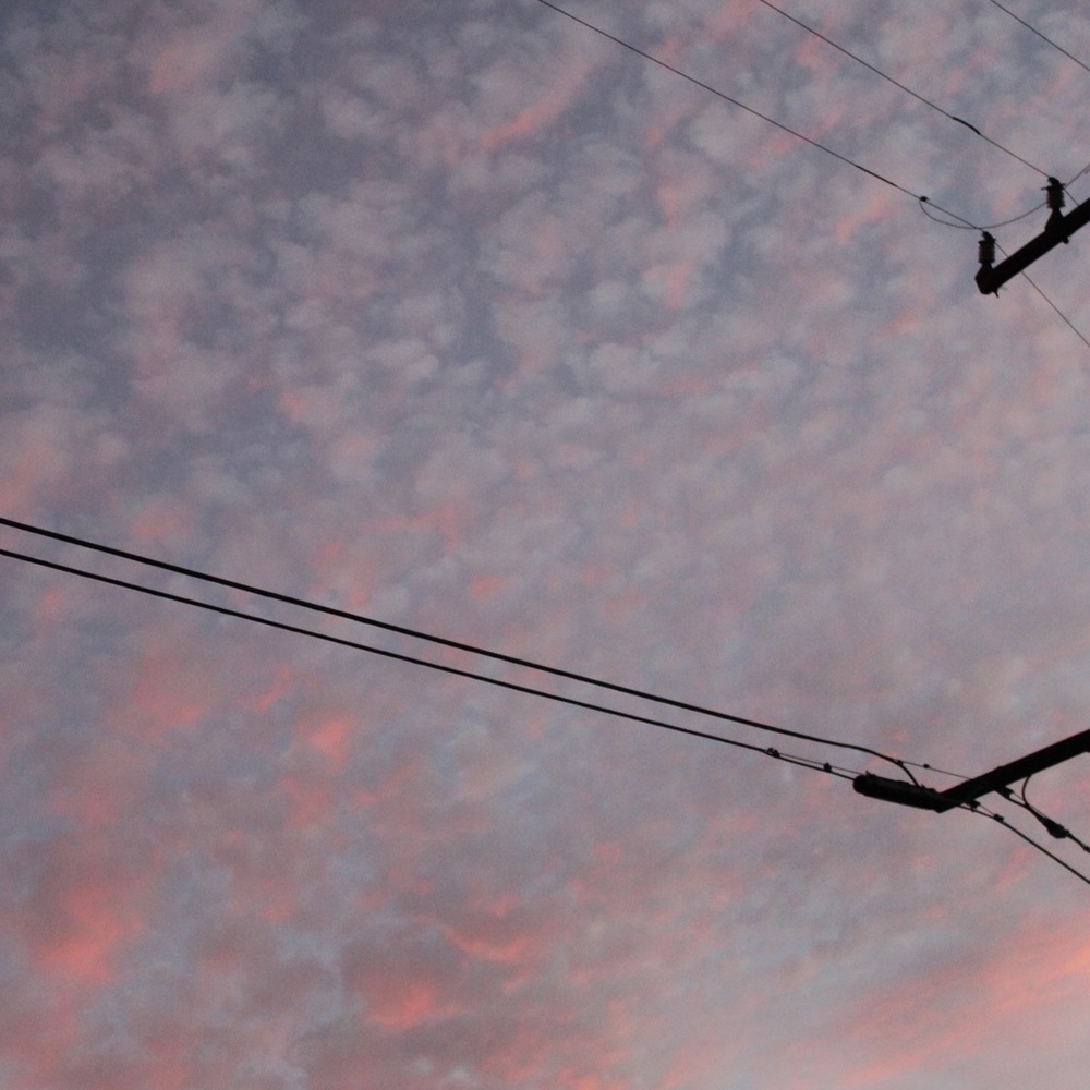 Meet your Posher, Ava